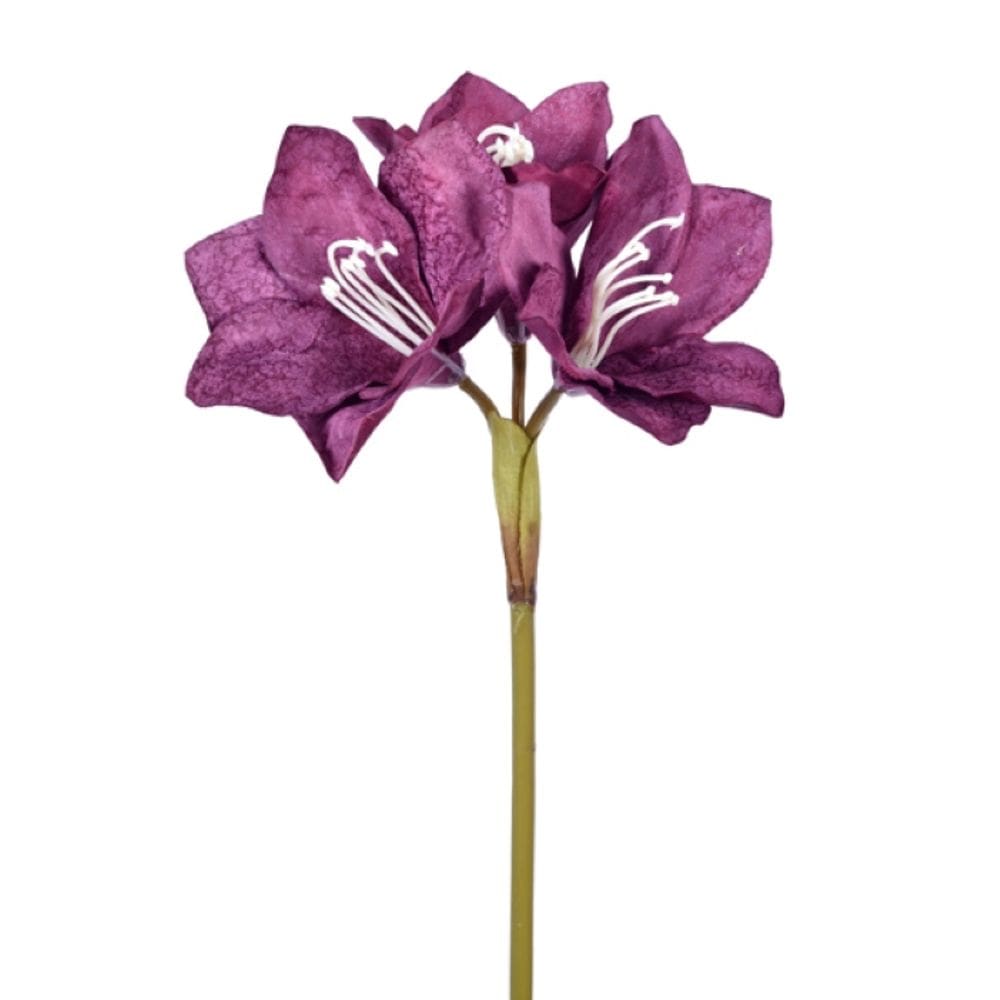 Haste Amarilis Burgundy Toque Real