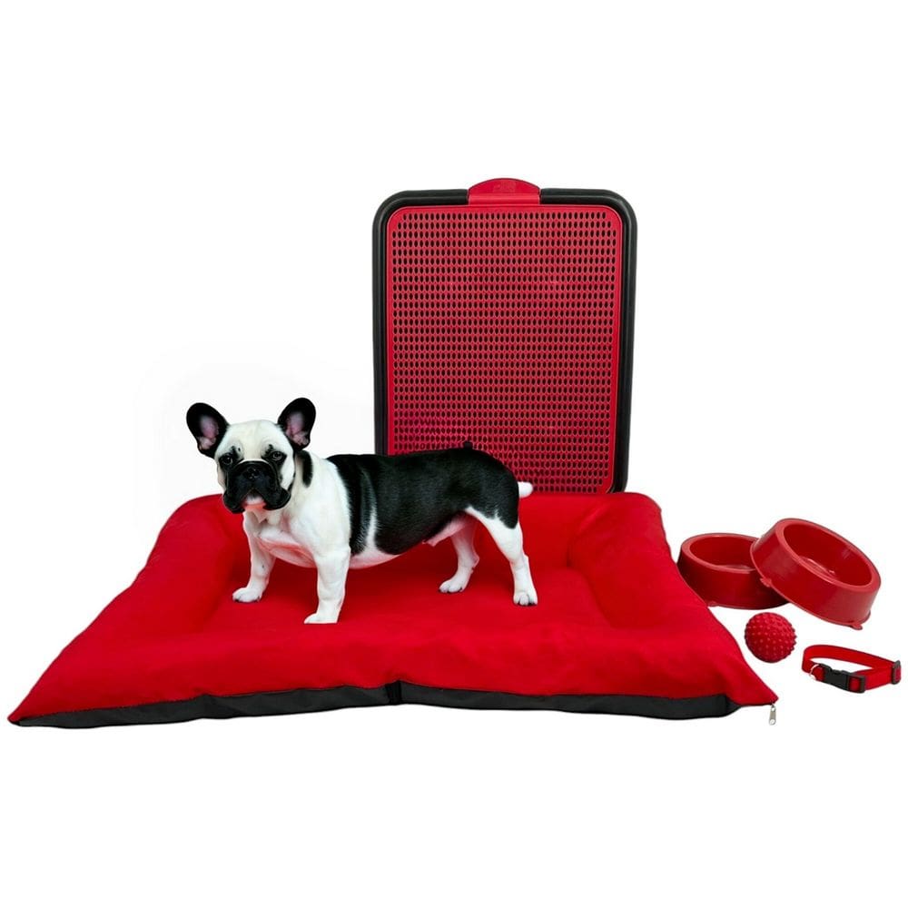 Kit Pet Médio Cama Futon Sanitário Comedouros Coleira Bola