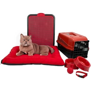 Kit Pet Pequeno Cama Futon Sanitário Transporte e Acessórios