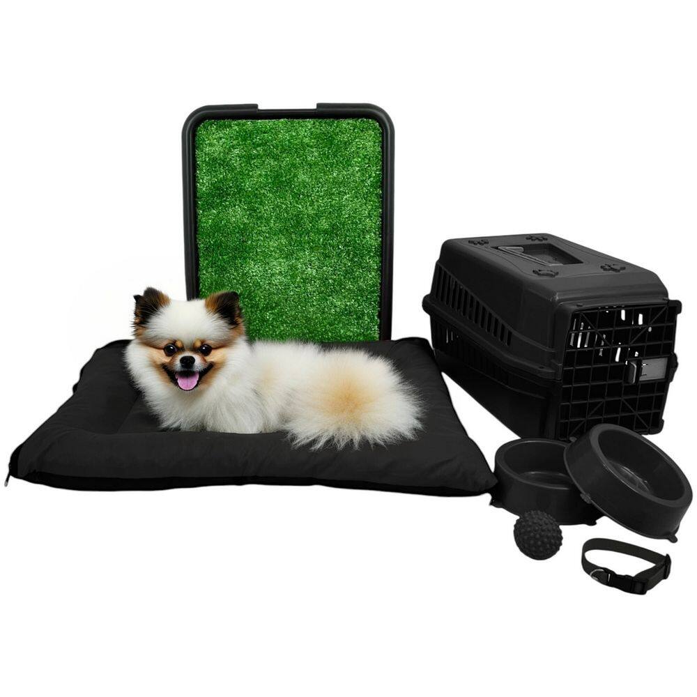 Kit Pet Pequeno Porte Cama Futon com Sanitário Grama e Transporte