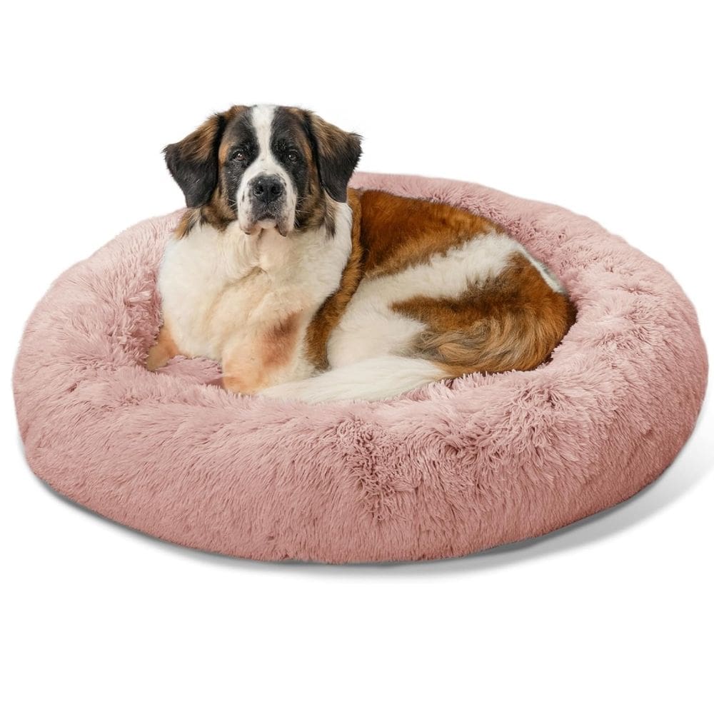  Donut Shag Dusty 