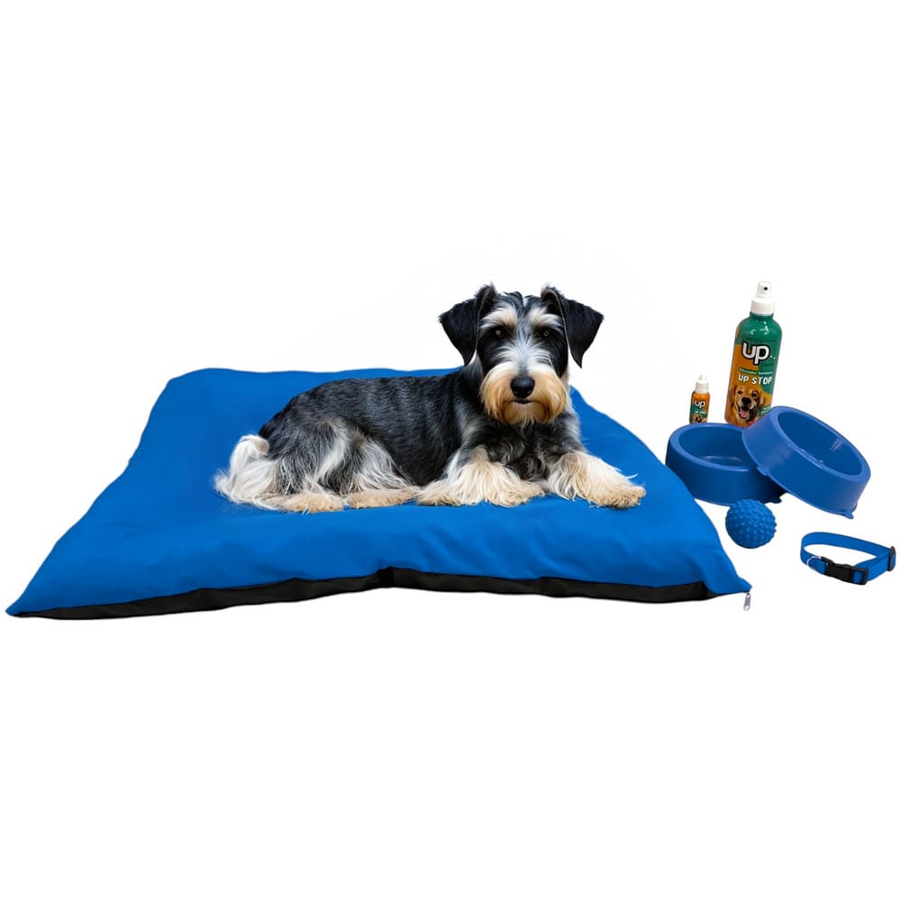 Kit Pet Médio Cama Futon Educador Xixi Sim/Não Cães 500ml