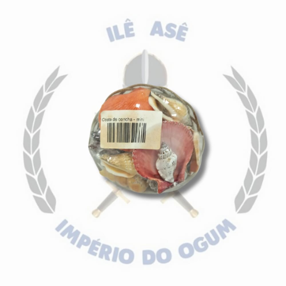 Cesta de Conchas - Tamanho MINI