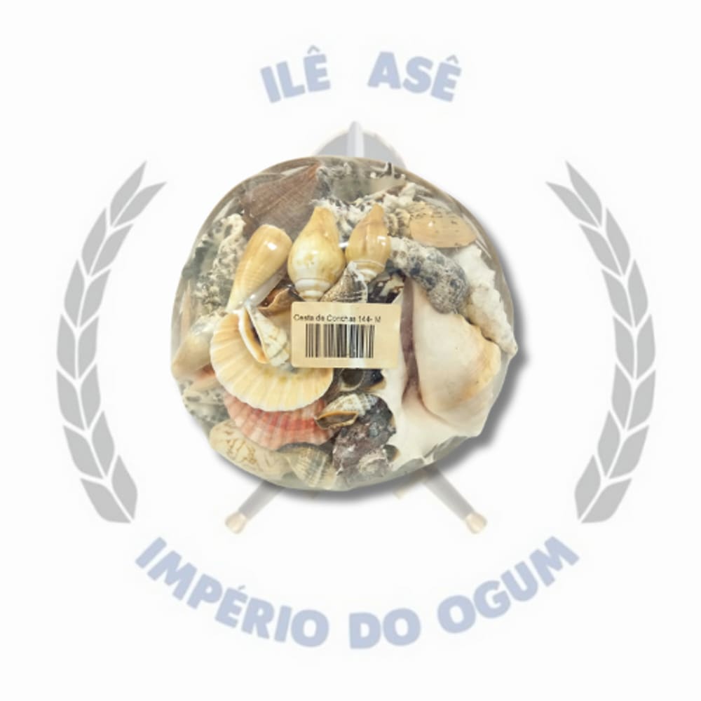 Cesta de Conchas - Tamanho M