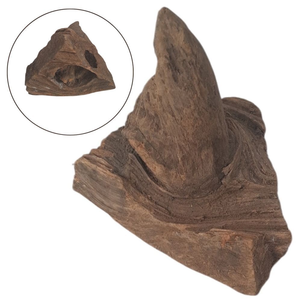 Nó de Pinho Multifuncional: Chapéu com Cavidades e Base Triangular - Decore e Crie com a Natureza!
