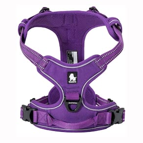 Arnês para cães TRUE LOVE refletivo ajustável TLH5651 roxo