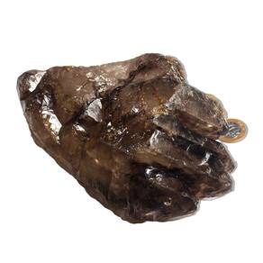 Elestial Jacaré Pedra Natural 2,5Kg 17cm Tipo A