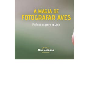 A magia de fotografar aves: Inspiração para a vida
