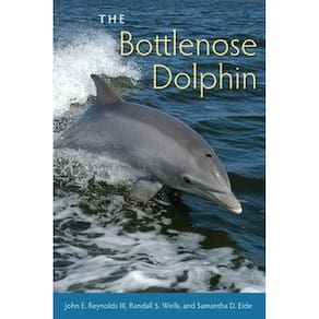The Bottlenose Dolphin