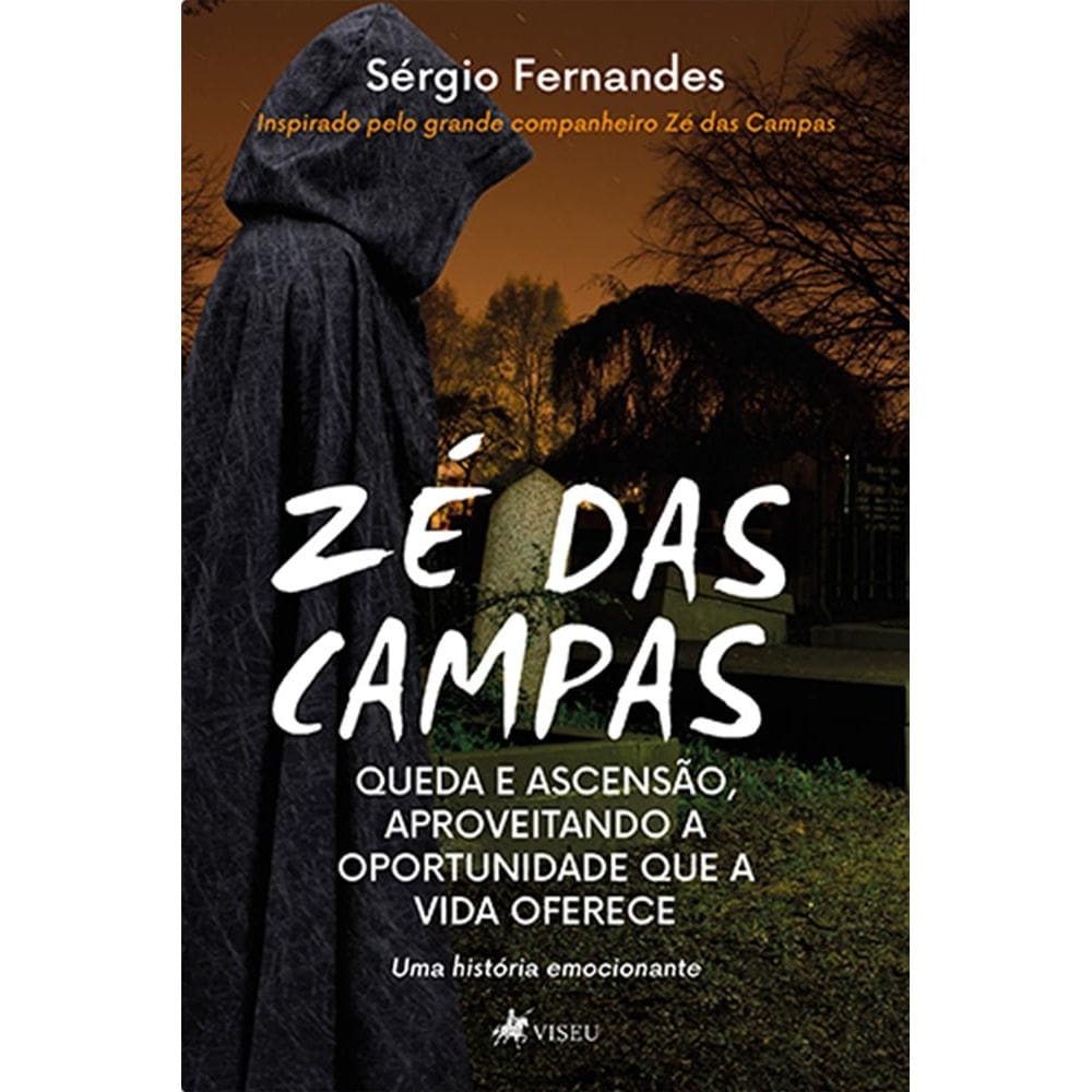 Ze´ das Campas: Queda e ascensa~o, aproveitando a oportunidade que a vida oferece - uma história emocionante