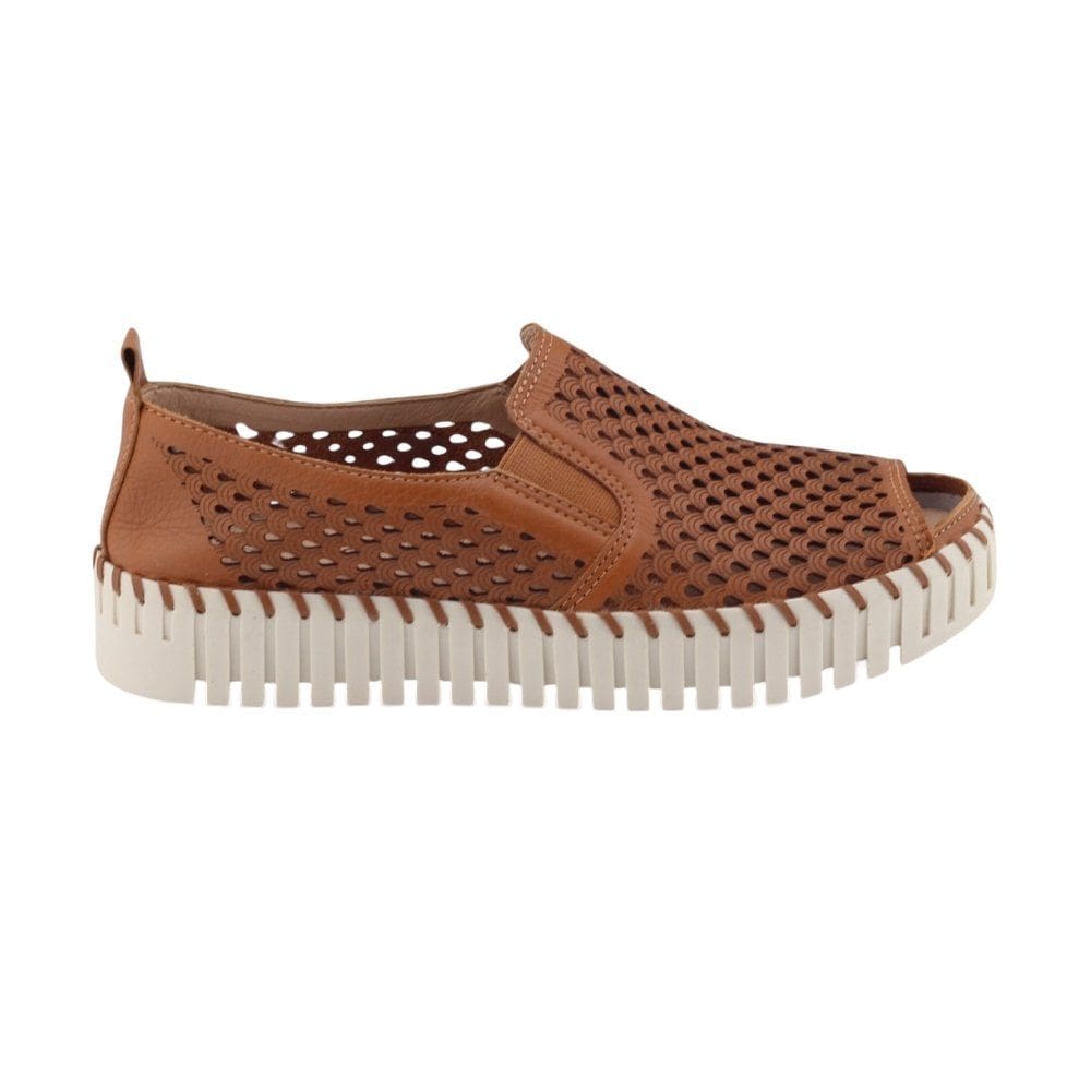 Sapatênis Feminino Bottero Botisly 368101 Couro