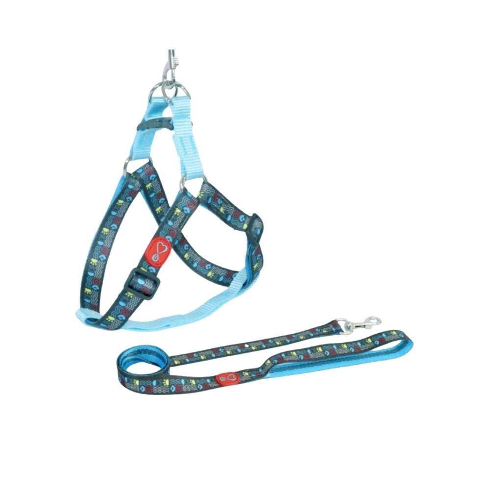 Conjunto Peitoral Walking Pescara Ajustável Médio Para Cães