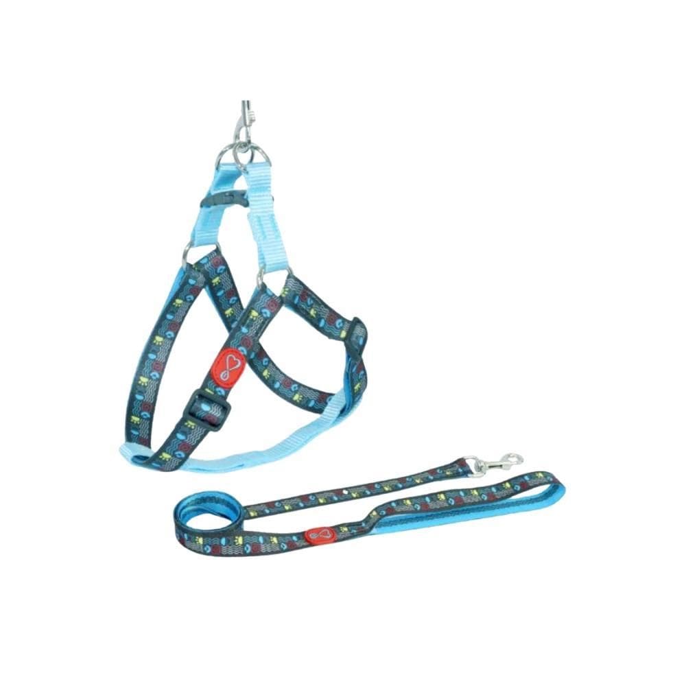 Conjunto Peitoral Walking Pescara Ajustável Grande Para Cães