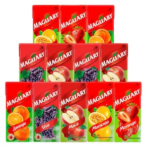 Kit Bebida de Frutas 200ml Variado