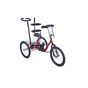 Triciclo Adaptado aro 20 Vermelho - Dream Bike