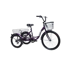 Triciclo Deluxe com marcha Roxo - Dream Bike