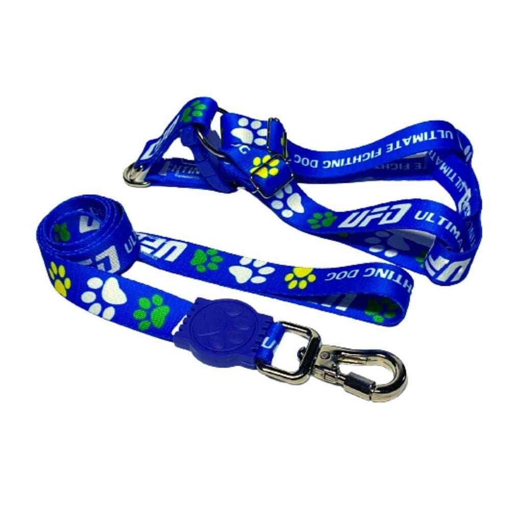 Coleira Peitoral Cães Super Premium Seda 25 Mm - Azul Nº 7