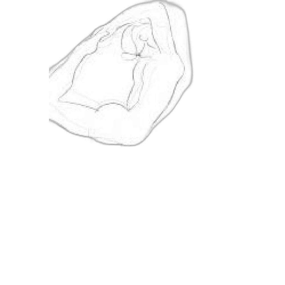 Livro Graciosidade E Estagnação: Ensaios Escolhidos