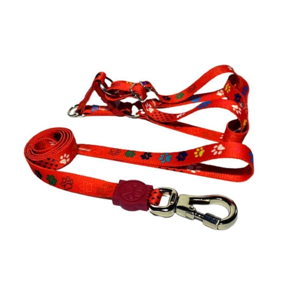 Coleira Peitoral Cães Super Premium Seda 15Mm - Vermelho Nº4