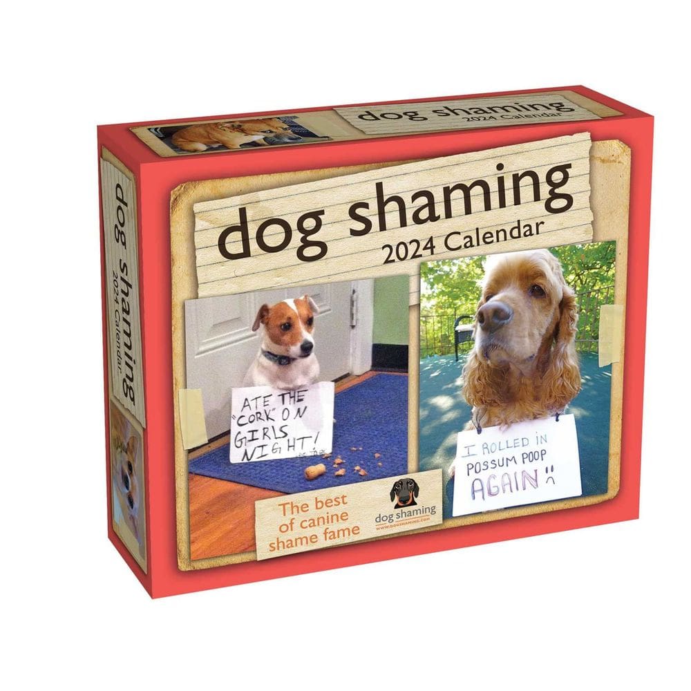 Calendário Andrews McMeel Publishing Dog Shaming 2024, dia a dia