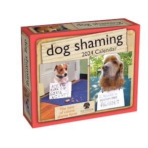 Calendário Andrews McMeel Publishing Dog Shaming 2024, dia a dia