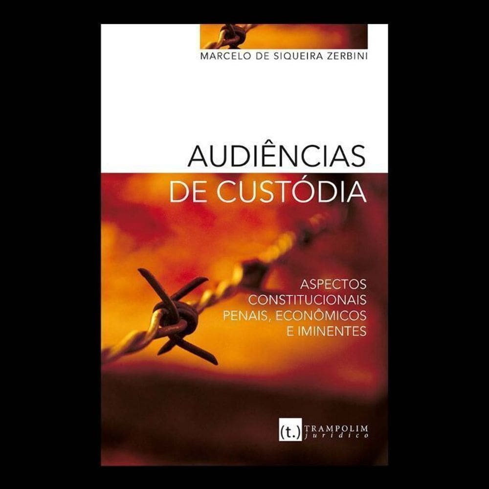 Audiências de Custódia - Aspectos Constitucionais, Penais, Econômicos e Iminentes