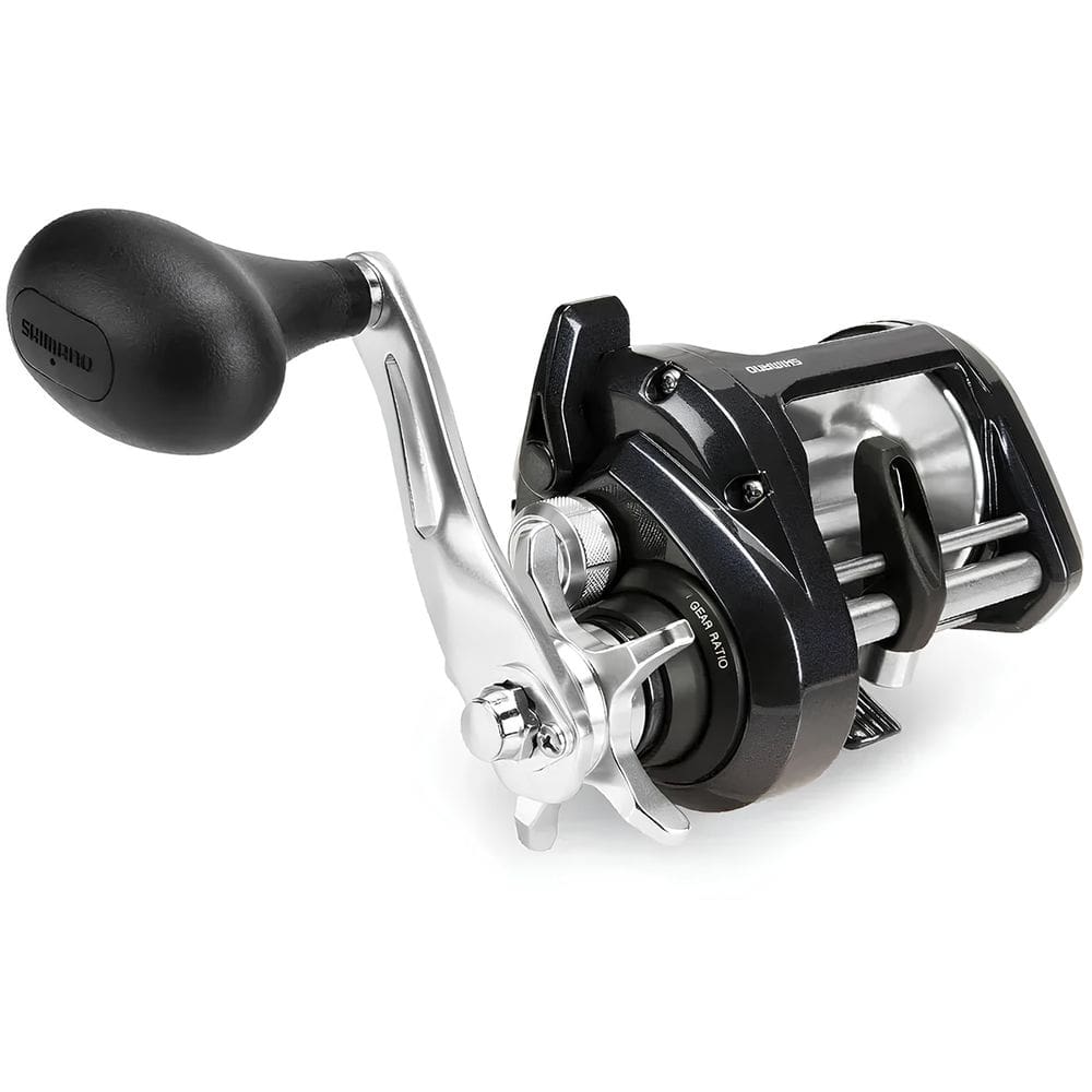 Carretilha Pesca Shimano Tekota 800 PG 2022 Drag 16kg 735g Recolhimento 3.9:1