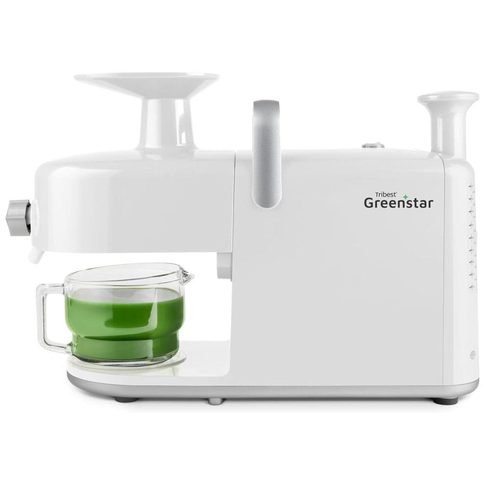 Centrifuga de Frutas em Aço Inoxidável com Duplo Mastigador, Caixa de Limpeza Fácil, Ferramenta de Limpeza de Tela e Jarro de Vidro, 110V