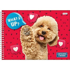 Caderno Desenho 80 Folhas Pet Love Jandaia 8843