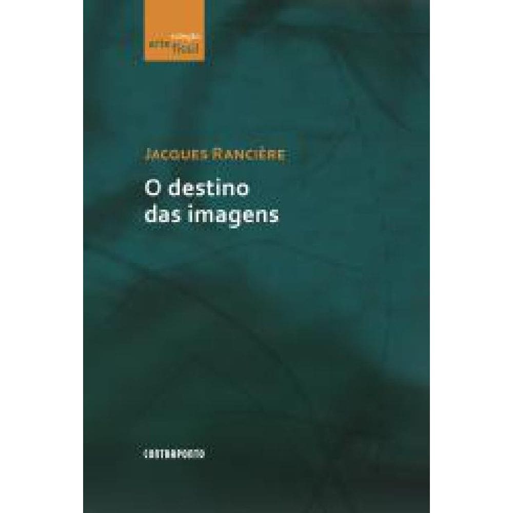 Livro O Destino Das Imagens