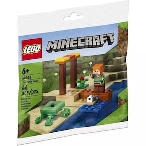 Conjunto de bolsas plásticas LEGO Toy LEGO Minecraft 46 peças mais 1 boneco