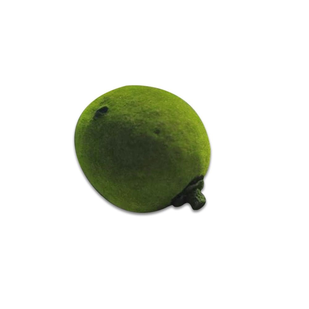 Fava de Oxóssi Para Rituais e Conexão da Natureza Unidade