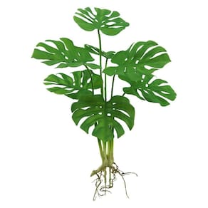 Planta Artificial Costela de Adão Verde Com Raiz Aparente 7 Folhas - MC Flores