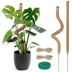 Moss Pole TLAZZ Monstera Plant Support 28 cm, pacote com 2 acessórios