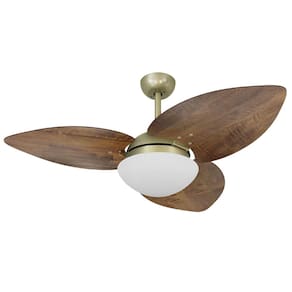 Ventilador De Teto Volare Gold Vidro Dunamis Imbuia 110V