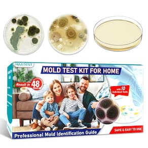 Kit de teste de molde HAATEST 6 Detector de moldes simples com guia 48h