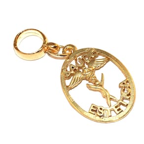 Pingente Berloque Estética Beleza Saúde Folheado Ouro 18k