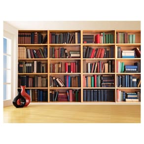 Papel De Parede 3D Estante De Livros Fundo Vídeo 3,5M Est05