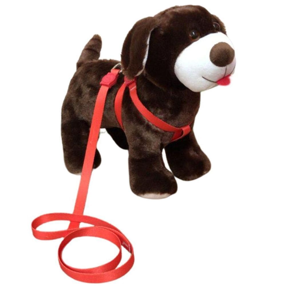 Coleira Peitoral Para Cachorro - Laranja Nº 4