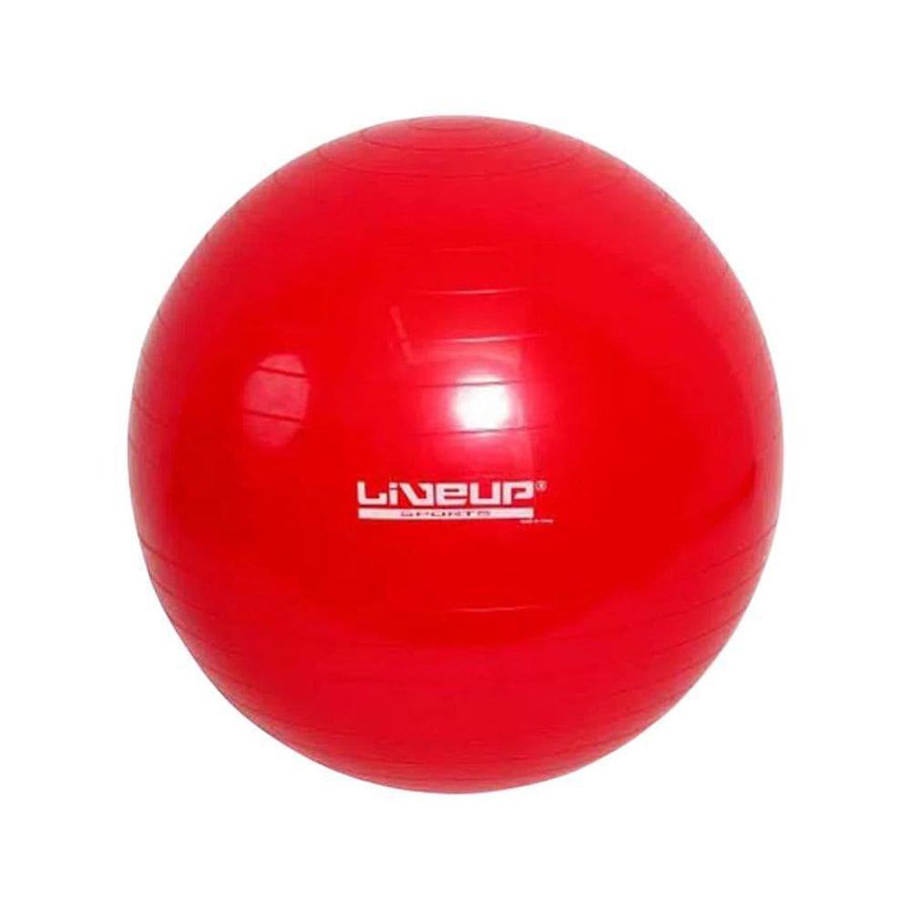 Bola Suíça Pilates Yoga Ginastica 45 Cm + Dvd