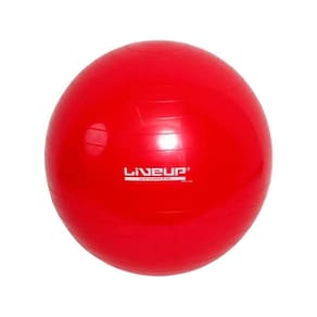 Bola Suíça Pilates Yoga Ginastica 45 Cm + Dvd