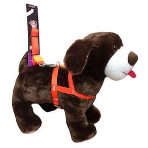 Coleira Peitoral Seda Neon Cachorro 15mm Laranja Nº2 - Nicapet