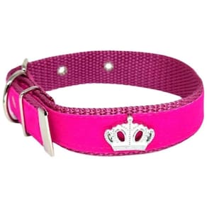 Coleira Camurça Aplique Pra Cachorro Nicapet 25Mm Cor Rosa