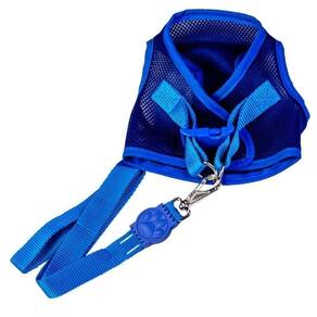 Coleira Peitoral Com Guia Azul G