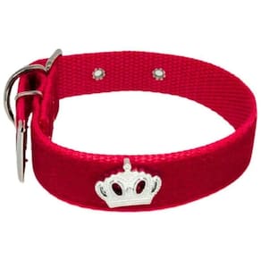 Coleira Camurça Aplique Cachorro Nicapet 25Mm Cor Vermelha