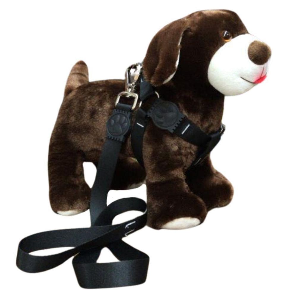 Coleira Peitoral Americano Premium Seda 25mm Preto Nº 6 - Nicapet