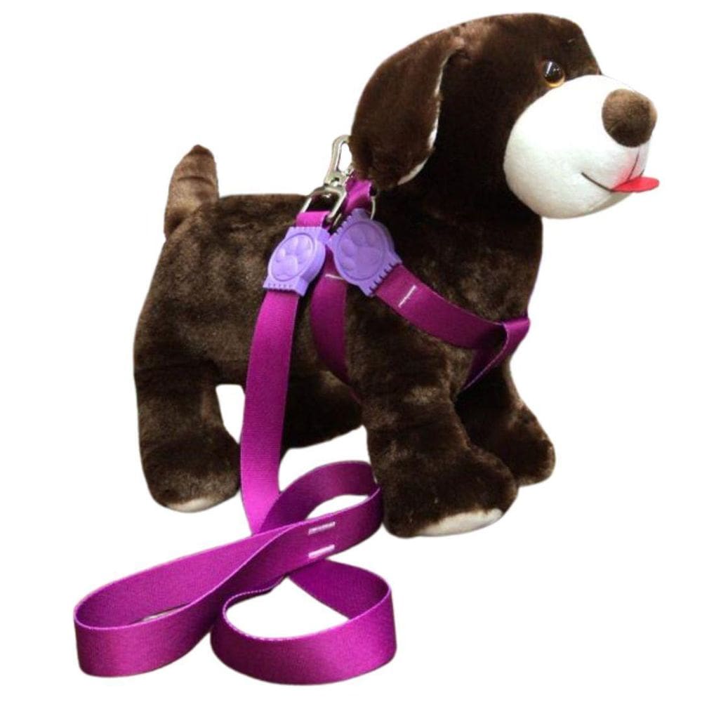 Coleira Peitoral Premium de Seda Roxo Nº 6 Nicapet
