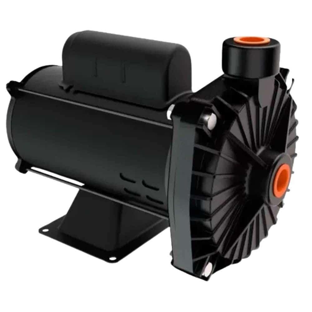 Bomba Centrífuga 1CV Monofásica 110/220V CP6R DANCOR