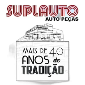 Pistao Ford Fiesta Ka 1.0 Gasolina Metal Leve Spa9192/Std