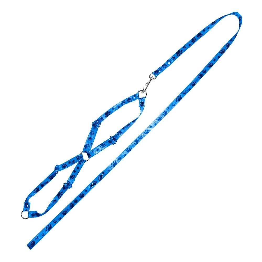 Guia de Seda Furacão Pet com Peitoral Ajustável N2 Macho